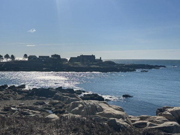 IMG_0800.jpeg