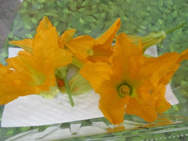 IMG_0854[1].webp