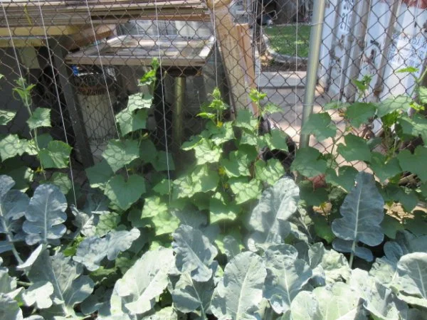 IMG_0937[1].webp