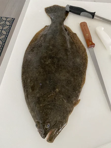 IMG_1178.webp