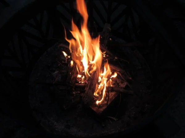 IMG_1352[1].webp