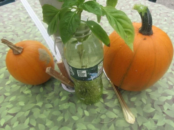 IMG_1463[1].webp