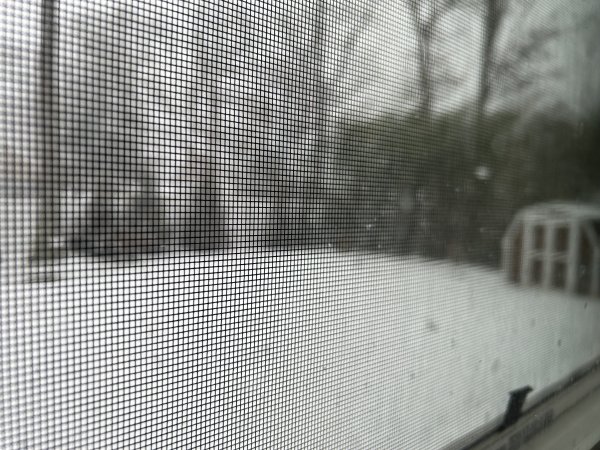 IMG_1546.jpeg