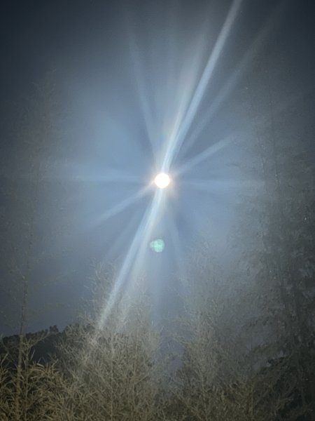 IMG_1669.jpeg