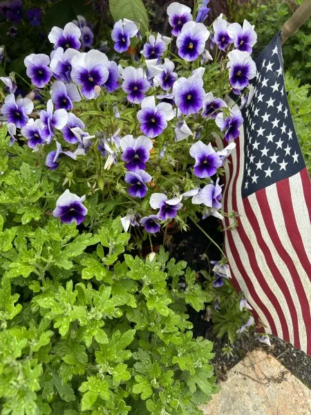 IMG_1761.webp