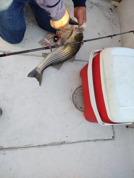 IMG_20200609_185442813.webp
