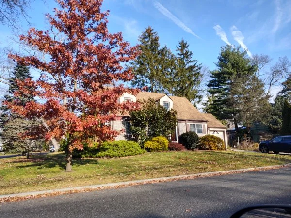IMG_20231209_102049981_HDR.webp