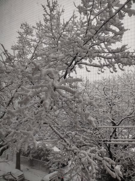IMG_20240213_085835058_HDR.jpg