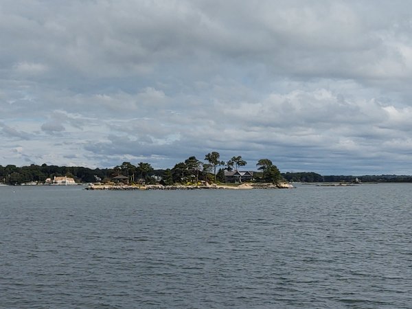 IMG_20240920_102241039.jpg