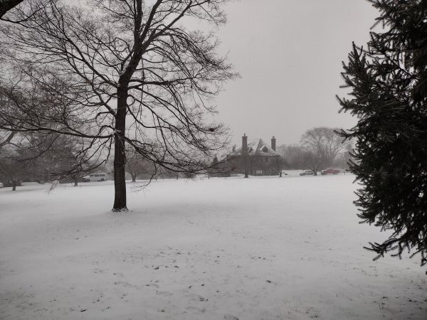 IMG_20241224_081416539_HDR.jpg