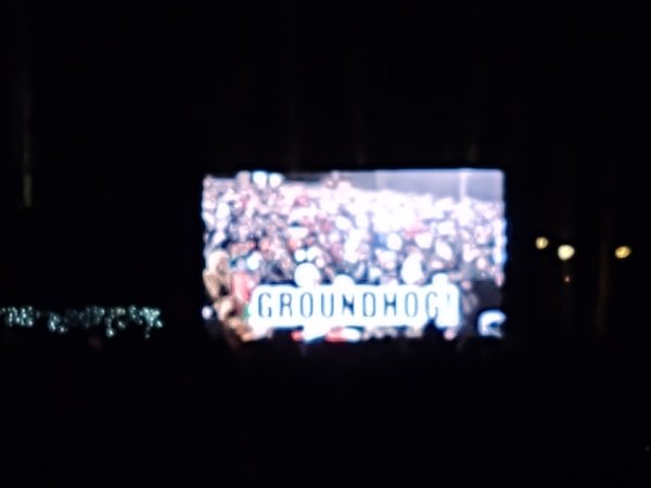 IMG_20250202_060643051.jpg