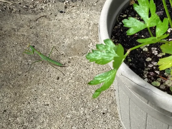 IMG_20250819_162150853_HDR.webp