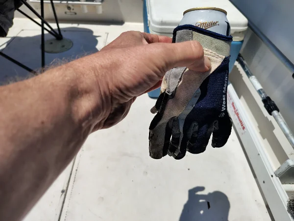 IMG_20260518_125114825_HDR.webp