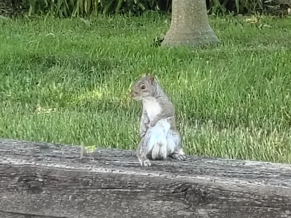 IMG_20260606_101536421_HDR.webp