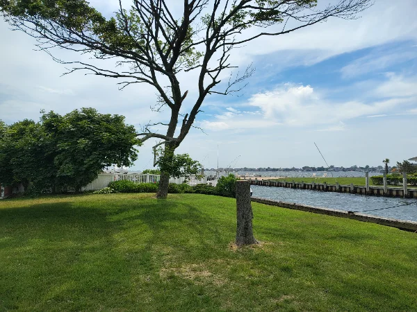 IMG_20260606_143642734_HDR.webp