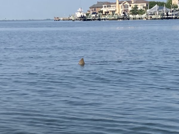 IMG_2183.jpg