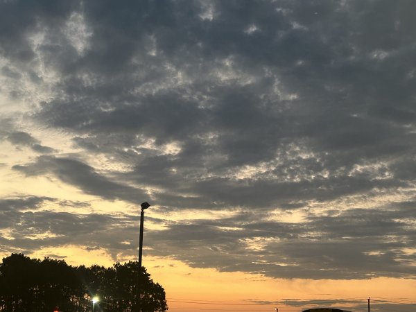 IMG_2507.jpeg