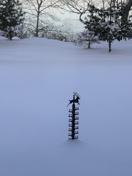 IMG_2810.jpeg