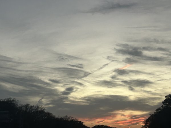 IMG_2917.jpeg