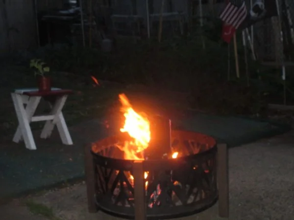 IMG_3125[1].webp