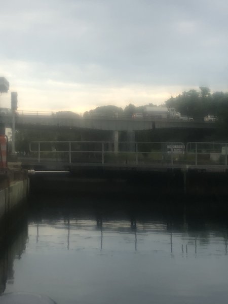 IMG_3371.jpeg