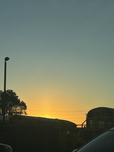 IMG_3430.jpeg