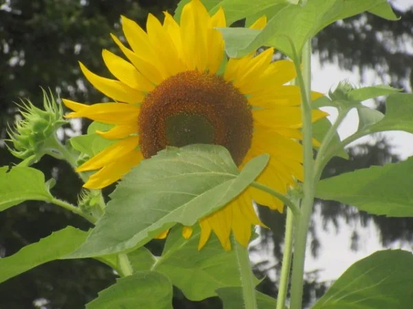 IMG_3467[1].webp