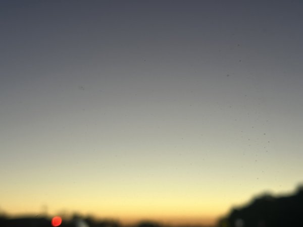 IMG_3485.jpeg