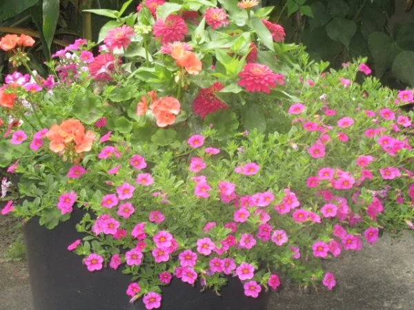 IMG_3568[1].webp