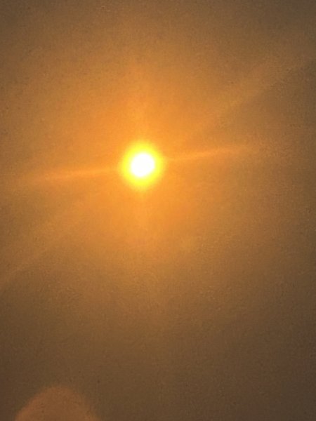 IMG_3610.jpeg