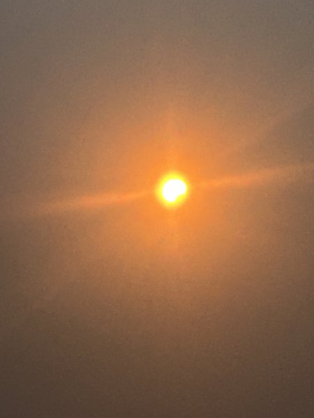 IMG_3611.jpeg