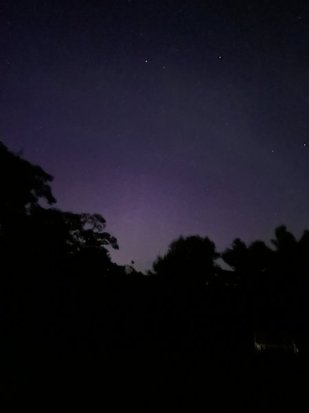 IMG_3632.jpeg