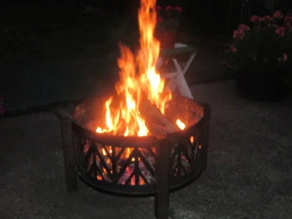 IMG_3750[1].webp