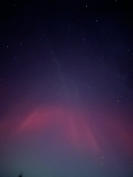 IMG_3833.jpeg