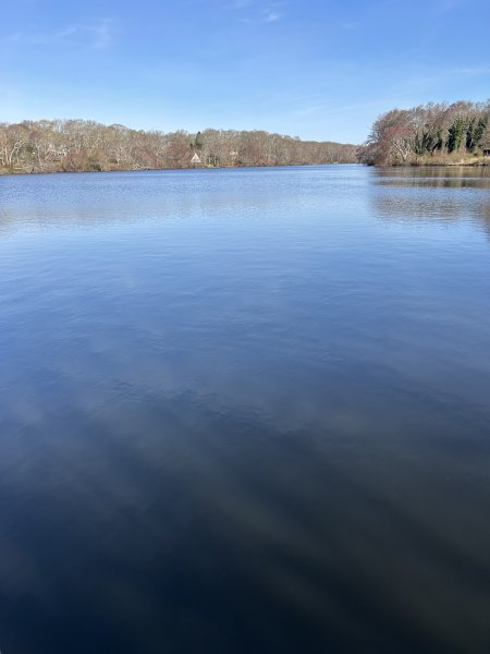 IMG_3931.jpeg