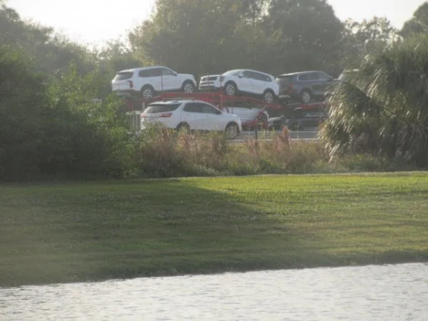 IMG_4265[1].webp