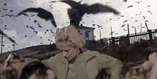 IMG_4345.gif