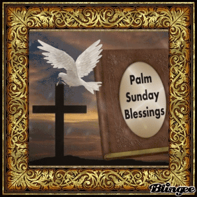 IMG_4372.gif