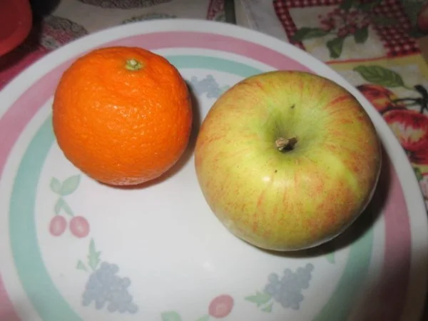 IMG_4539[1].webp