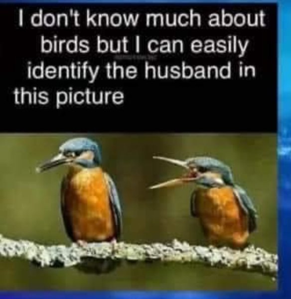 IMG_4642.jpeg