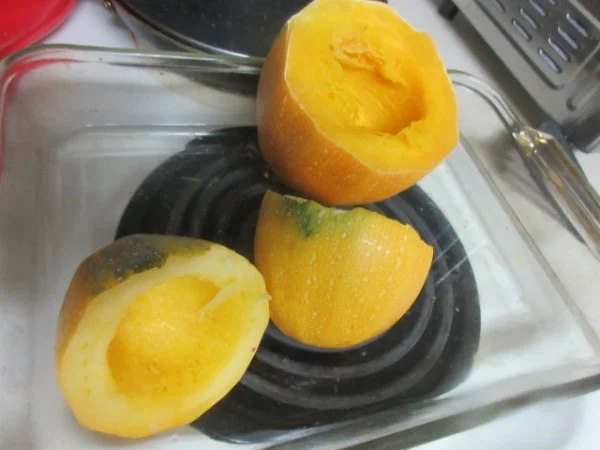 IMG_5015[1].webp