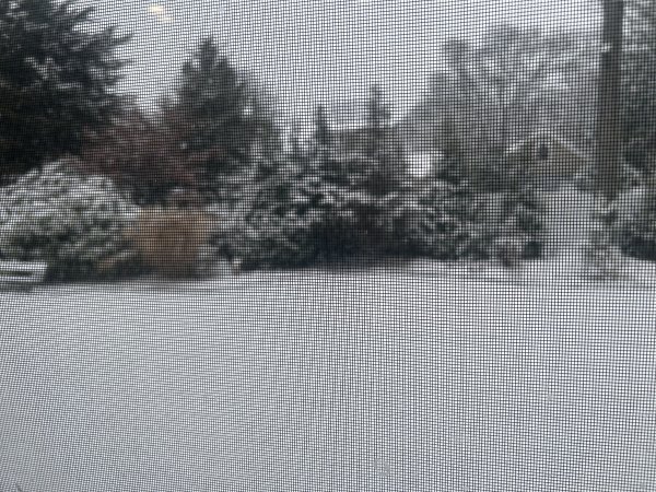 IMG_5080.jpeg