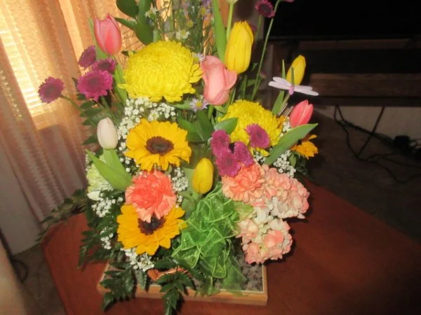 IMG_5230[1].webp