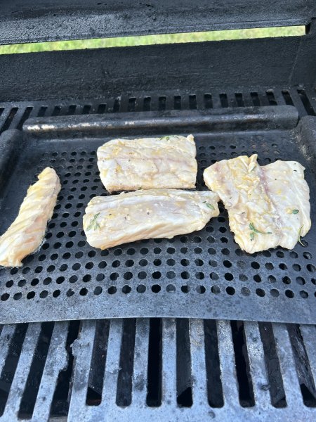IMG_5301.jpeg