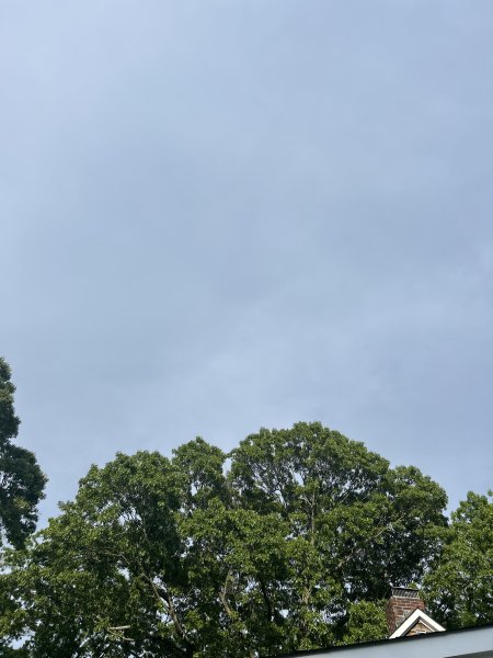 IMG_5543.jpeg