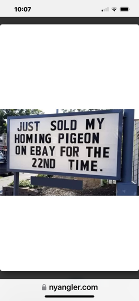 IMG_5584.png