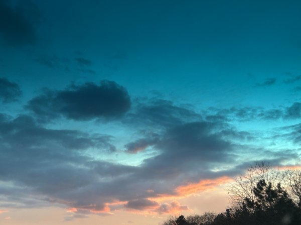 IMG_5808.jpeg