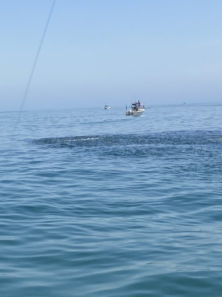 IMG_5901.jpeg