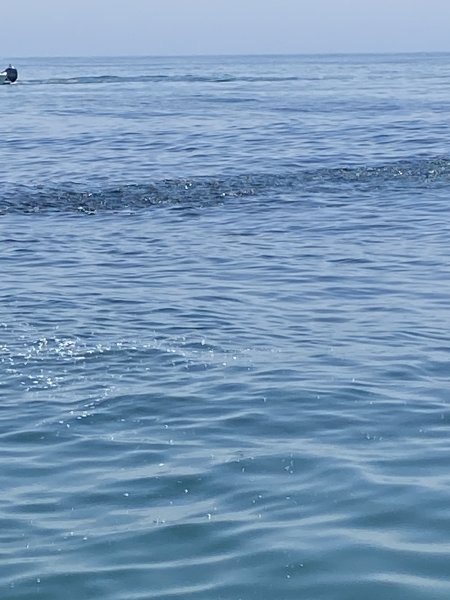 IMG_5903.jpeg