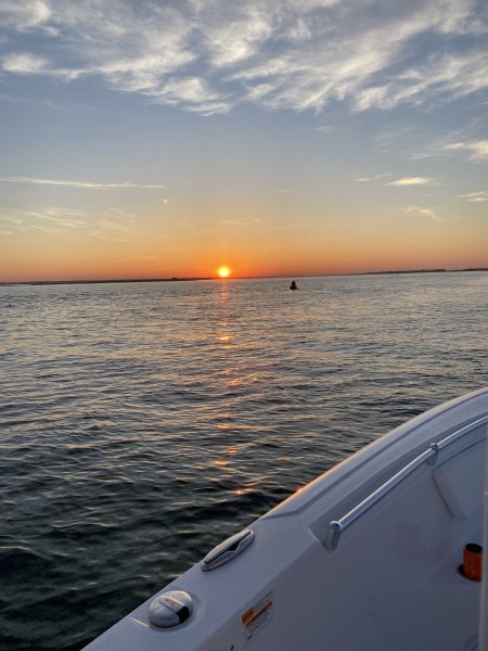 IMG_5996.jpeg